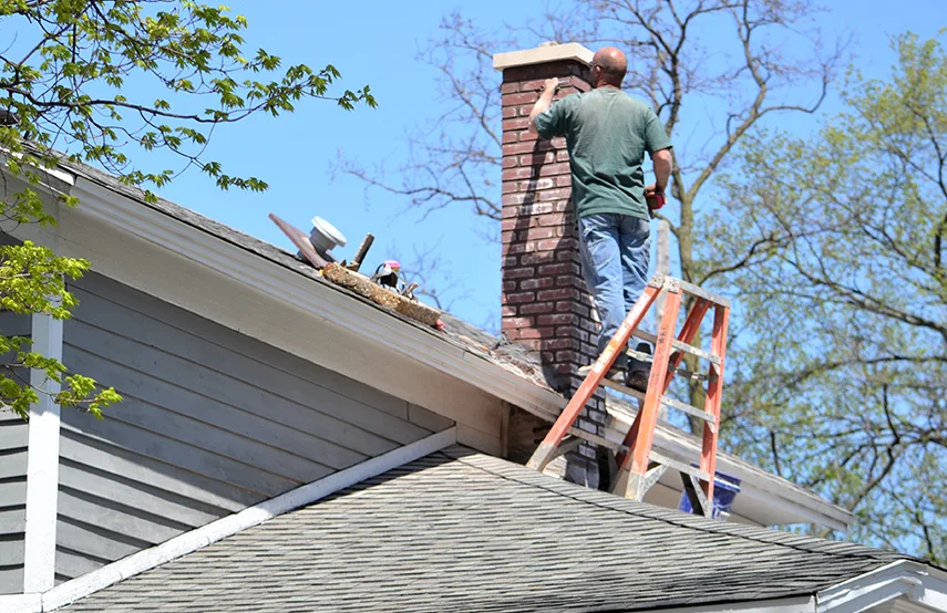 Chimney & Fireplace Inspections Services in Summerlin South, NV